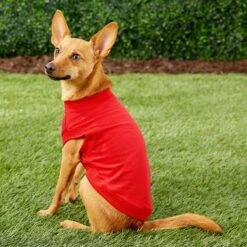 Frisco Basic Dog & Cat T-Shirt -Frisco 139387 PT4. AC SS1800 V1541453855