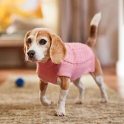 Frisco Dog & Cat Cable Knitted Sweater 14 Frisco Dog & Cat Cable Knitted Sweater -Frisco 144254 PT5. AC SS1800 V1541456525