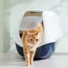 Frisco Hooded Cat Litter Box -Frisco 153376 MAIN. AC SS1800 V1675280052