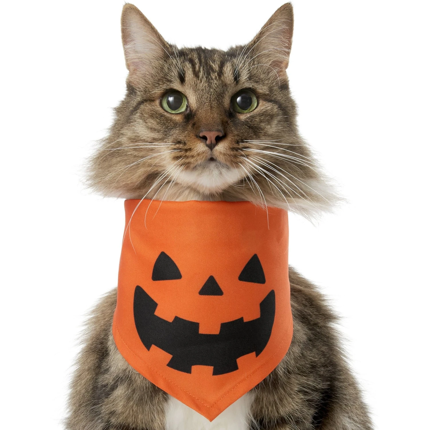 Frisco Jack O' Lantern Pumpkin Dog & Cat Bandana 3 Frisco Jack O' Lantern Pumpkin Dog & Cat Bandana