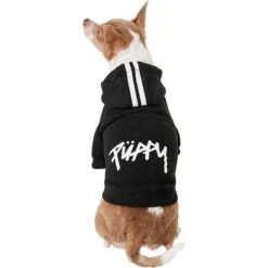 Frisco Püppy Dog Athletic Hoodie -Frisco 160342 PT2. AC SS1800 V1637689590
