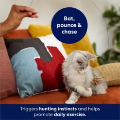 Frisco Cardboard & Wire Teaser Cat Toy -Frisco 161194 PT3. AC SS1800 V1686579092