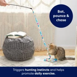 Frisco Fabric Teaser Wand Cat Toy -Frisco 161196 PT5. AC SS1800 V1691783969