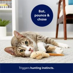 Frisco Skinny Mouse Plush Cat Toy With Catnip 10 Frisco Skinny Mouse Plush Cat Toy With Catnip -Frisco 161268 PT5. AC SS1800 V1686578718