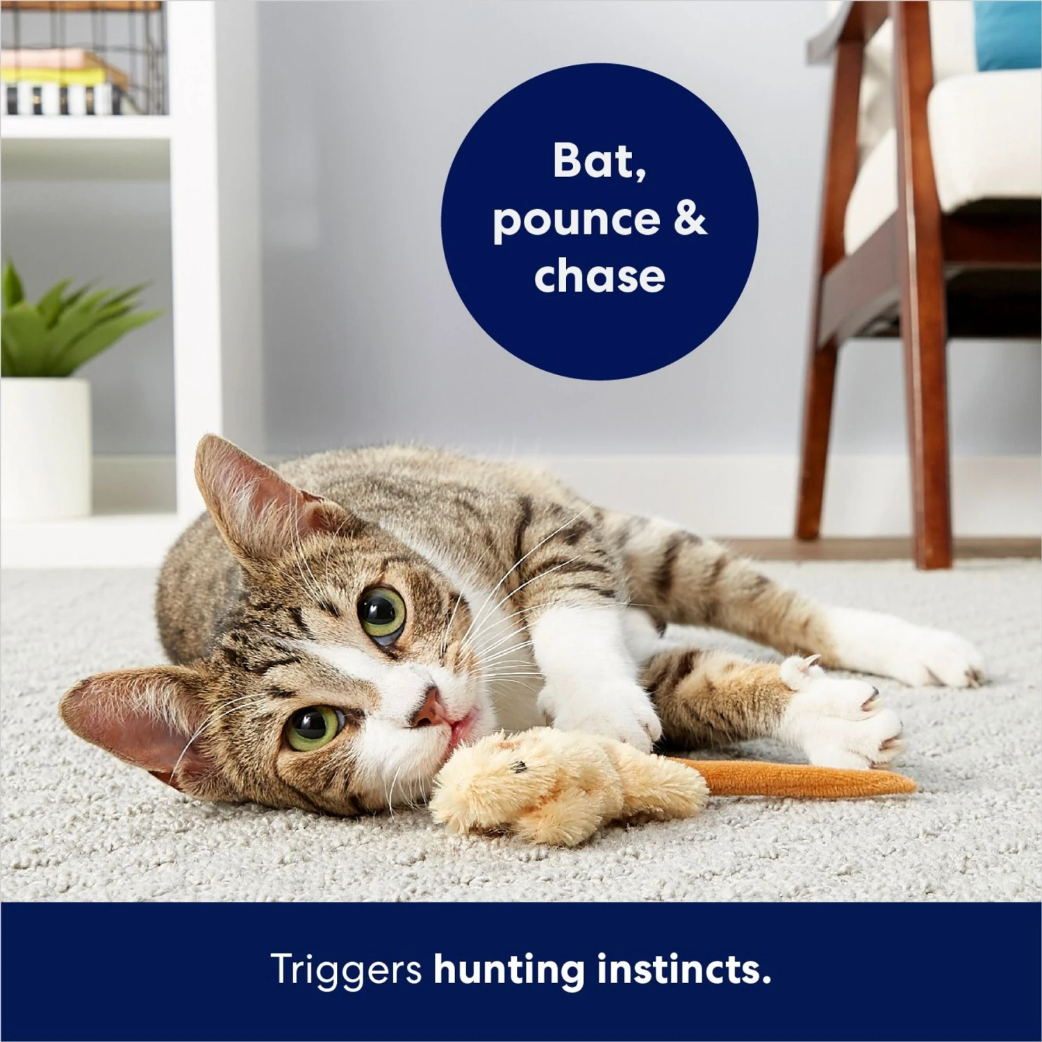 Frisco Skinny Mouse Plush Cat Toy With Catnip 6 Frisco Skinny Mouse Plush Cat Toy With Catnip - Image 4