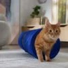 Frisco Foldable Play Tunnel With Mesh Cat Toy 2 Frisco Foldable Play Tunnel With Mesh Cat Toy -Frisco 166385 MAIN. AC SS1800 V1686579145