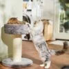Frisco 24.8-in Heavy Duty Faux Fur Cat Tree 1 Frisco 24.8-in Heavy Duty Faux Fur Cat Tree -Frisco 169397 MAIN. AC SS1800 V1680808632