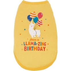 Frisco Llama-zing Birthday Dog & Cat T-Shirt 9 Frisco Llama-zing Birthday Dog & Cat T-Shirt -Frisco 191240 PT2. AC SS1800 V1582053523