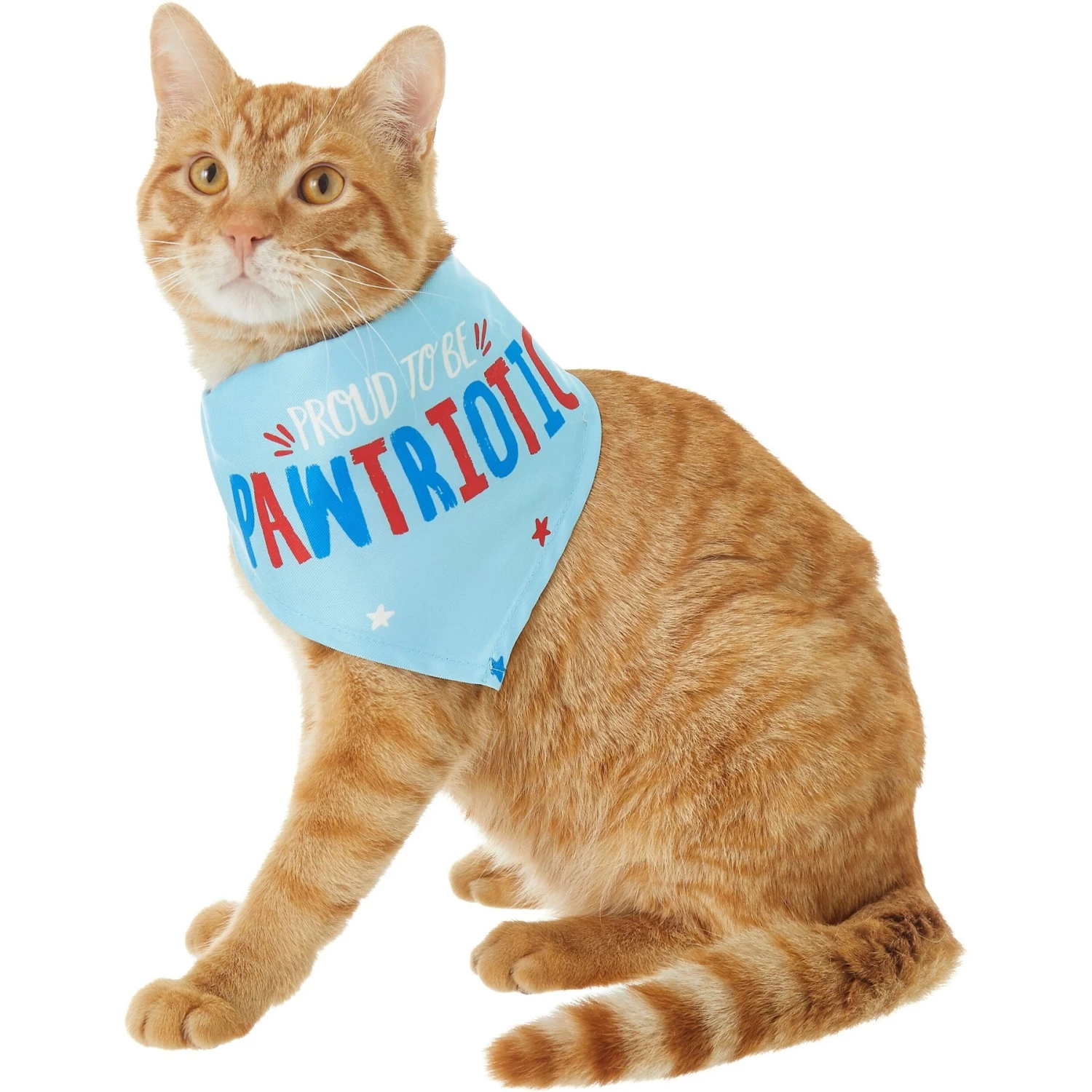 Frisco Pawtriot Dog & Cat Bandana 5 Frisco Pawtriot Dog & Cat Bandana - Image 3