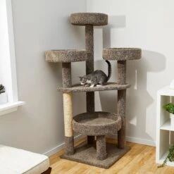 Front Page 26 Frisco 65-in Real Carpet Scratch And Lounge Cat Tree