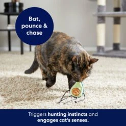 Frisco Dangly Avocado Buddy Plush Cat Toy With Catnip -Frisco 213846 PT5. AC SS1800 V1691784029