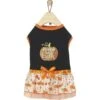 Frisco Pumpkin Patch Cutie Dog & Cat Dress