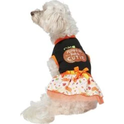 Frisco Pumpkin Patch Cutie Dog & Cat Dress -Frisco 215784 PT3. AC SS1800 V1632430875
