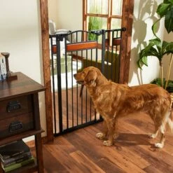 Front Page 6 Frisco Wood Accents Extra Tall Auto-close Dog Gate