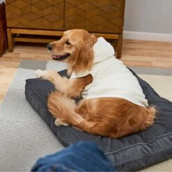 Frisco Plush Fur Dog & Cat Hoodie -Frisco 224209 PT7. AC SS1800 V1637685435