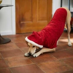 Frisco Textured Knit Dog & Cat Hoodie -Frisco 224233 PT6. AC SS1800 V1637729542