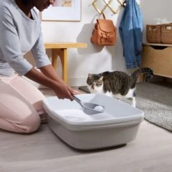 Frisco Micro Crystal Unscented Clumping Crystal Cat Litter -Frisco 232119 PT4. AC SS1800 V1660944685