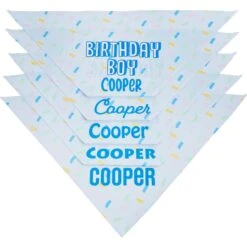 Frisco Birthday Boy Personalized Dog & Cat Bandana -Frisco 238329 PT4. AC SS1800 V1618511578