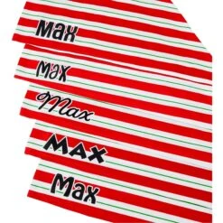 Frisco Peppermint Personalized Dog & Cat Bandana 14 Frisco Peppermint Personalized Dog & Cat Bandana -Frisco 242807 PT4. AC SS1800 V1618511553