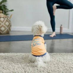 Frisco Mama's Yoga Pawtner Dog & Cat T-Shirt 13 Frisco Mama's Yoga Pawtner Dog & Cat T-Shirt -Frisco 248966 PT7. AC SS1800 V1614201756