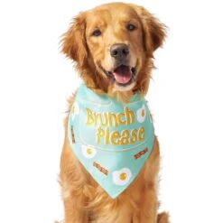 Frisco Brunch Please Dog & Cat Bandana -Frisco 249207 PT3. AC SS1800 V1696597730