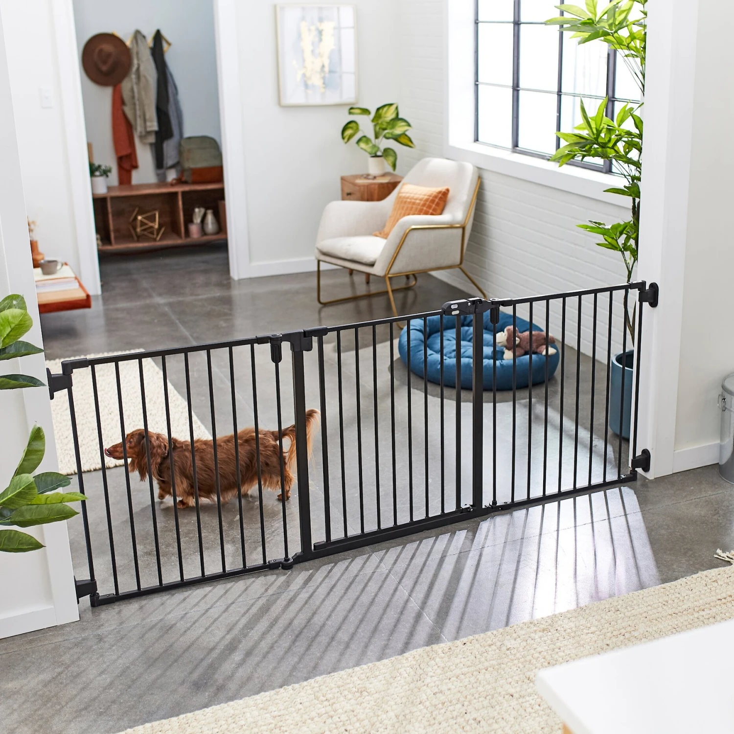 Frisco Steel 3-Panel Configurable Dog Gate, 30-in 2 Frisco Steel 3-Panel Configurable Dog Gate, 30-in
