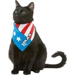 Frisco Americana Personalized Dog & Cat Bandana -Frisco 254239 PT7. AC SS1800 V1619559761