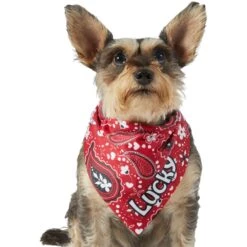 Frisco Paisley Printed Personalized Dog & Cat Bandana -Frisco 254247 PT6. AC SS1800 V1618507975
