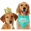 Frisco Happy Birthday Dog & Cat Crown & Frisco Dog & Cat Birthday Bandana
