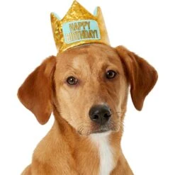 Frisco Happy Birthday Dog & Cat Crown & Frisco Dog & Cat Birthday Bandana -Frisco 255523 PT1. AC SS1800 V1603716100