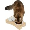 Frisco Double Elevated Cat Bowl With Wood Stand 2 Frisco Double Elevated Cat Bowl With Wood Stand -Frisco 256082 MAIN. AC SS1800 V1616509034