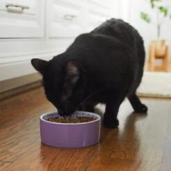 Frisco Kaleidoscope Pattern Non-skid Ceramic Dog & Cat Bowl 10 Frisco Kaleidoscope Pattern Non-skid Ceramic Dog & Cat Bowl -Frisco 256090 PT2. AC SS1800 V1615311092