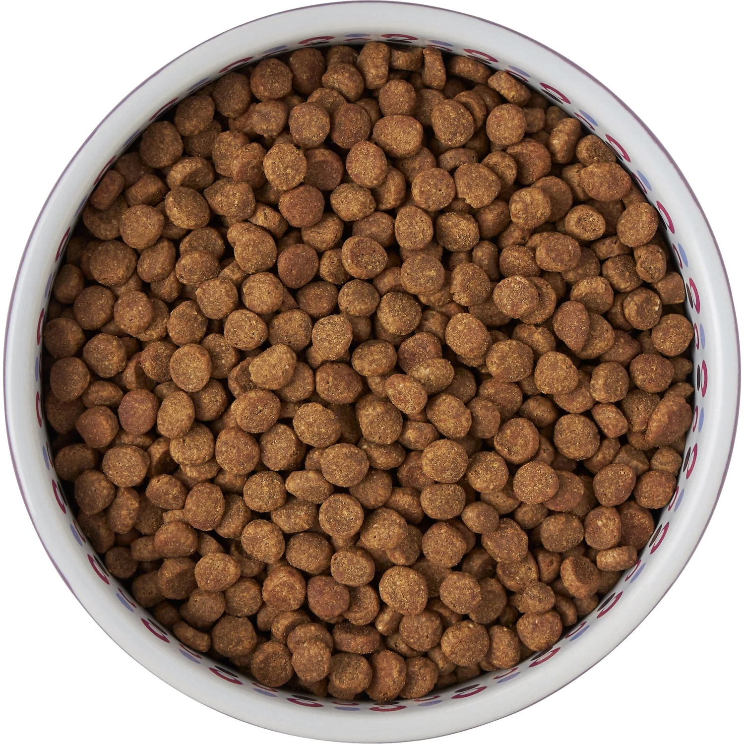 Frisco Kaleidoscope Pattern Non-skid Ceramic Dog & Cat Bowl 8 Frisco Kaleidoscope Pattern Non-skid Ceramic Dog & Cat Bowl - Image 6