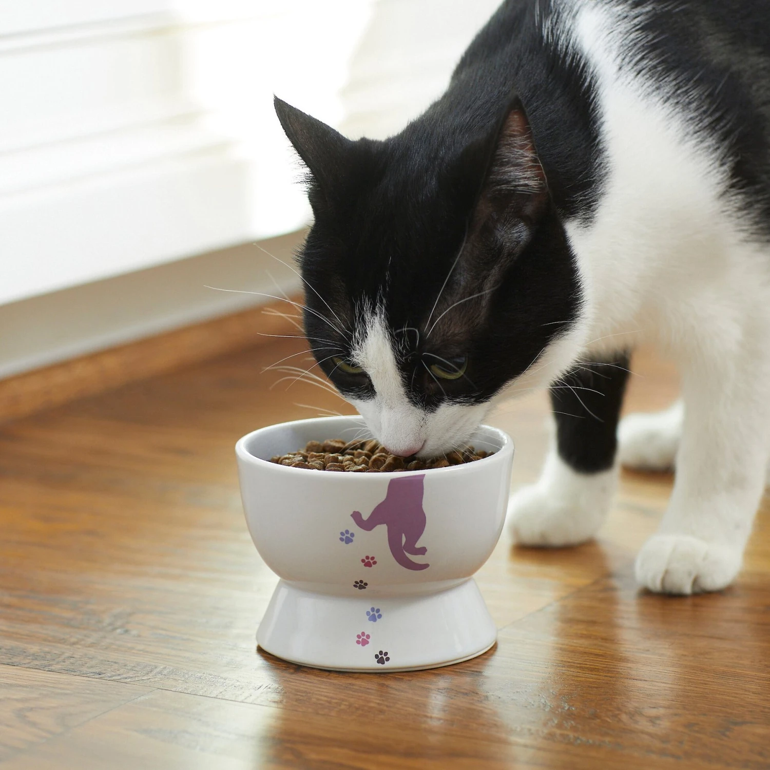 Frisco Cat Print Non-skid Elevated Ceramic Cat Bowl, Short 5 Frisco Cat Print Non-skid Elevated Ceramic Cat Bowl, Short - Image 3