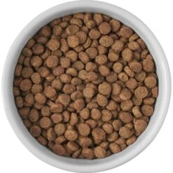 Frisco Cat Print Non-skid Elevated Ceramic Cat Bowl, Short 12 Frisco Cat Print Non-skid Elevated Ceramic Cat Bowl, Short -Frisco 256096 PT4. AC SS1800 V1616522576