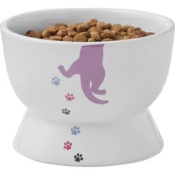 Frisco Cat Print Non-skid Elevated Ceramic Cat Bowl, Short 13 Frisco Cat Print Non-skid Elevated Ceramic Cat Bowl, Short -Frisco 256096 PT5. AC SS1800 V1616522496