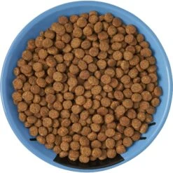 Frisco Cat Face Non-skid Ceramic Cat Dish, Blue 13 Frisco Cat Face Non-skid Ceramic Cat Dish, Blue -Frisco 256101 PT5. AC SS1800 V1615321282