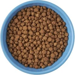 Frisco Cat Face Non-skid Ceramic Cat Bowl, Blue -Frisco 256103 PT5. AC SS1800 V1615312900