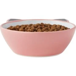 Frisco Cat Face Non-skid Ceramic Cat Bowl, Pink 10 Frisco Cat Face Non-skid Ceramic Cat Bowl, Pink -Frisco 256107 PT4. AC SS1800 V1616522565