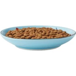 Frisco New York Non-skid Ceramic Cat Dish -Frisco 256119 PT5. AC SS1800 V1618494742