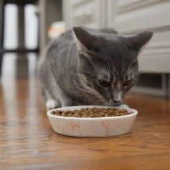 Frisco Marble Design Non-skid Ceramic Cat Bowl -Frisco 256125 PT6. AC SS1800 V1617037714