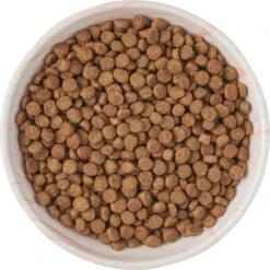 Frisco Marble Design Non-skid Ceramic Cat Dish 11 Frisco Marble Design Non-skid Ceramic Cat Dish -Frisco 256127 PT5. AC SS1800 V1615321285