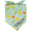 Frisco Citrus Personalized Dog & Cat Bandana 2 Frisco Citrus Personalized Dog & Cat Bandana -Frisco 258758 MAIN. AC SS1800 V1619558872