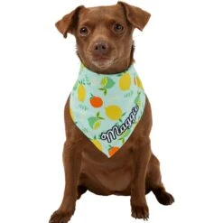 Frisco Citrus Personalized Dog & Cat Bandana -Frisco 258758 PT6. AC SS1800 V1619560354