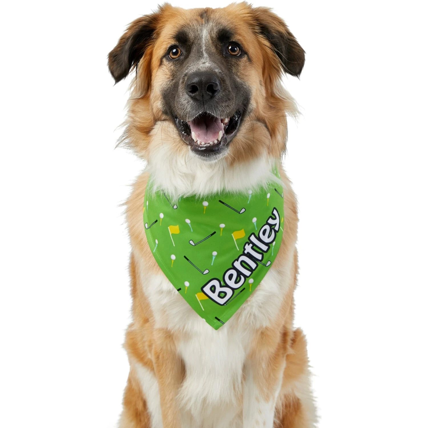 Frisco Golf Personalized Dog & Cat Bandana 9 Frisco Golf Personalized Dog & Cat Bandana - Image 7