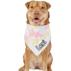 Frisco Tiedye Personalized Dog & Cat Bandana -Frisco 267482 PT6. AC SS1800 V1632428490
