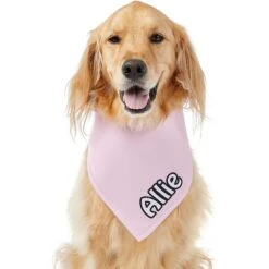 Frisco Solid Pastel Personalized Dog & Cat Bandana 17 Frisco Solid Pastel Personalized Dog & Cat Bandana -Frisco 267514 PT6. AC SS1800 V1632417387