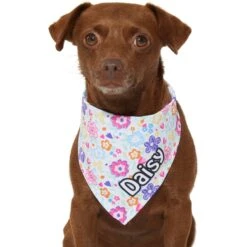 Frisco Bright Floral Personalized Dog & Cat Bandana -Frisco 267535 PT7. AC SS1800 V1623164573