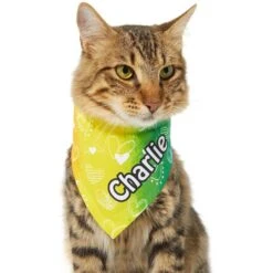 Frisco Rainbow Hearts Personalized Dog & Cat Bandana -Frisco 267539 PT6. AC SS1800 V1632420703