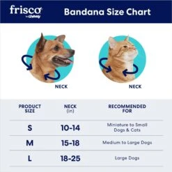 Frisco Boho Geo Personalized Dog & Cat Bandana 11 Frisco Boho Geo Personalized Dog & Cat Bandana -Frisco 267559 PT1. AC SS1800 V1696271458